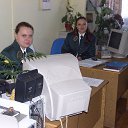   2006     