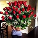 ���� Nikki, ����, 43 ���� - ��������� 26 ������� 2013 � ������ ���� ����������