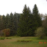 Сергей, 61 год, Магнитогорск Сергей, 61 год, Магнитогорск
