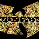 ���� ���������, ������, 30 ��� - ��������� 4 ������ 2014 � ������ ���� ����������