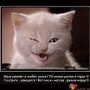  , -, 70  -  22  2014    