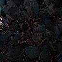 ���� ��������, ���������� �����, 50 ��� - ��������� 18 ������� 2013 � ������ �������