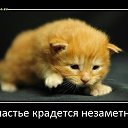 ���� �������, ����� - ��������� 22 ������� 2013 � ������ ���� ����������