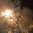 Утро 30.12.2013 г.