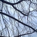 ���� �������, ����� - ��������� 16 ������� 2014 � ������ ��� ��� ������ ���