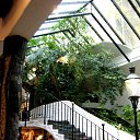 ���� �� ������� ���� ����������