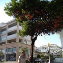 ���� ������, ������, 43 ���� - ��������� 16 �������� 2013 � ������ ���� ����������