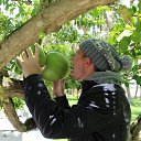 ���� ���������, ������, 39 ��� - ��������� 6 ������� 2013 � ������ ����-�����