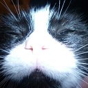 ���� ��������, ���������, 57 ��� - ��������� 16 ������� 2013 � ������ ���� ����������