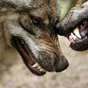 ������� �� ������ ����-��, ��� �������� ������ ����������. �� ������� ������