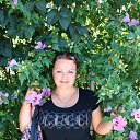 ���� ����, ��������, 40 ��� - ��������� 24 ������ 2013 � ������ ���� ����������