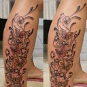  , , 42  -  25  2013   tatu
