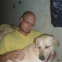 ����� ������� �� ������� ���� ����������