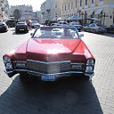 ���� ������, ������ - ��������� 29 ������� 2013 � ������ ���� ����������