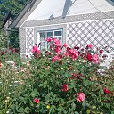 ���� ���������, ��������, 40 ��� - ��������� 23 ������� 2014 � ������ ���� ����������