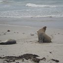 ���� �����, �����-���������, 40 ��� - ��������� 11 ������� 2013 � ������ �����������