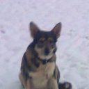 ���� �����, ������, 61 ��� - ��������� 27 ������ 2014