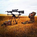 ���� ����, ������ - ��������� 4 ������ 2014 � ������ ���� ����������