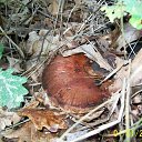 ���� ������, �����-��������� - ��������� 9 �������� 2013 � ������ �������� � ������ �� �������