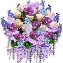 ��������� � mir-animashki.com http://vk.com/app2649002 �� ������� ���� ����������