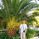 ���� Alex, �����������, 69 ��� - ��������� 12 ������� 2013 � ������ ���� ����������