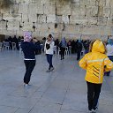 ���� �����, ������������ - ��������� 31 ������ 2014 � ������ ��������. �������, ���������, ̸����� ����.�