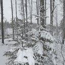 ��� ������ ���� ����� � ���� �� ������� ���� ����������