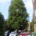 ���� ������, �����-���������, 61 ��� - ��������� 10 ����� 2014 � ������ ���������, ������ 2010�