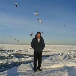 ���� �����, ������, 62 ���� - ��������� 6 ������� 2014