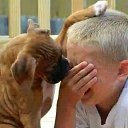  , , 71  -  14  2014     ... .