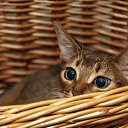 ���� ������, ������ - ��������� 25 ������ 2014 � ������ �������