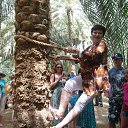 ���� ����, ������, 64 ���� - ��������� 22 ������ 2014 � ������ ������ ��������