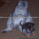 ���� �����, ��������� - ��������� 16 ������ 2013 � ������ ��������