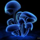 ���� ������, �������, 30 ��� - ��������� 13 ������ 2013 � ������ ������ ��������