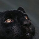 � �� ���� ��������!) �� ������� ���� ����������