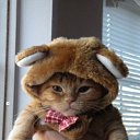 ���� �����, �������� - ��������� 14 ����� 2014 � ������ ���� ����� ����!�