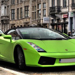 ���� �����, ������ - ��������� 14 ������� 2013