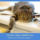 ���� �����, ��������� - ��������� 16 ������ 2013 � ������ ��������