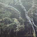 ���� �����, ������� - ��������� 4 ����� 2014 � ������ ������ ��������