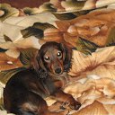 ���� ������, ������, 50 ��� - ��������� 13 ������ 2013 � ������ ���� ����������