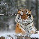  ,  -  9  2014   Animals