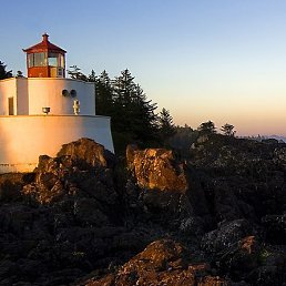 ������, �����, 41 ���