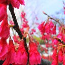 ���� ������, �����-���������, 61 ��� - ��������� 10 ����� 2014 � ������ ��������� ������, ������ 2012�