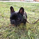 ���� ��������, ������ - ��������� 1 ������� 2013 � ������ �Lyfe Happy Sormadi�