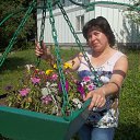 ���� �����, ��������� - ��������� 16 ������ 2013 � ������ ���� ����������