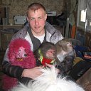 ���� ��������, ���������, 39 ��� - ��������� 24 ������� 2013 � ������ ���� ����������