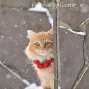���� ��������, ������, 42 ���� - ��������� 18 ������ 2013 � ������ ���� ����������