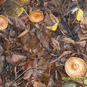 ���� ������, �����-��������� - ��������� 9 �������� 2013 � ������ �������� � ������ �� �������