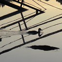  Vasily, , 67  -  27  2013    