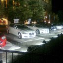 ���� ����, �����, 41 ��� - ��������� 6 ������� 2013 � ������ ���� ����������